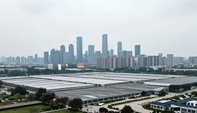 企业信息推广维护方法，提升推广效果